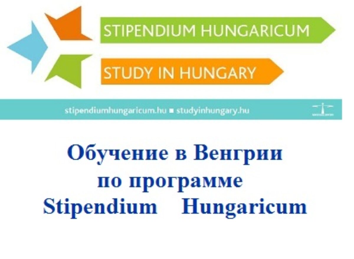Обучение в Венгрии
